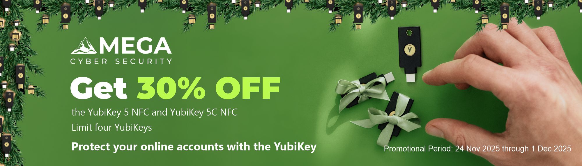 Black Friday Campaign